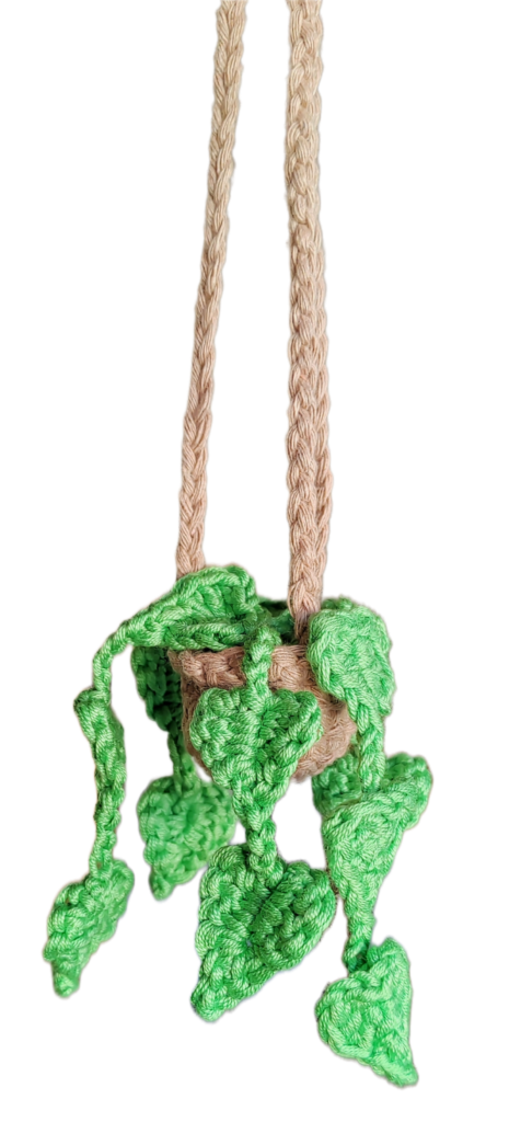 Crocheted hanging plant as a customer order